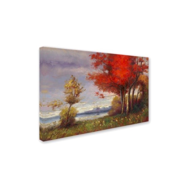 Daniel Moises 'Landscape With Red Trees' Canvas Art,30x47